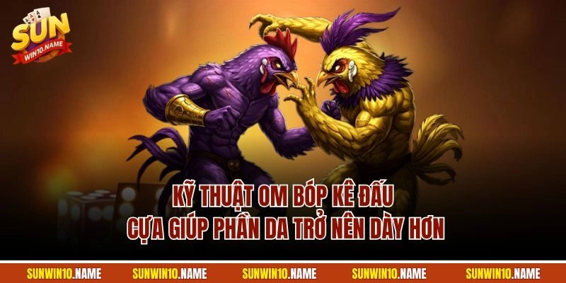 Kỹ thuật om bóp kê đấu cựa giúp phần da trở nên dày hơn